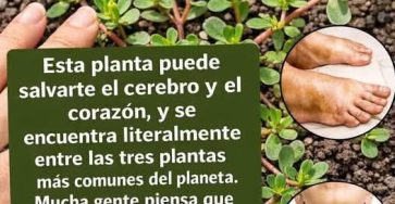 B3d226e1 d51d 41e1 a405 8b974130c505
