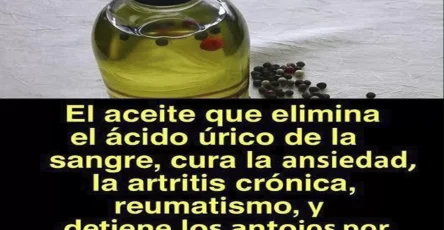 Portada4 2 (1)